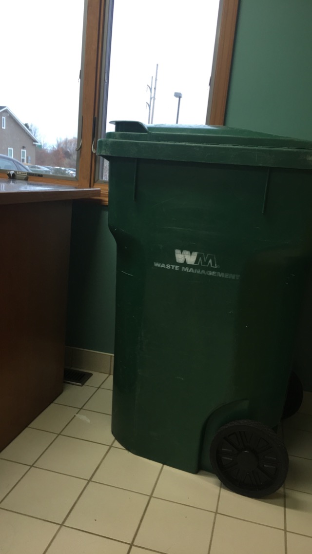 Caring For Cats - Rochester , United States