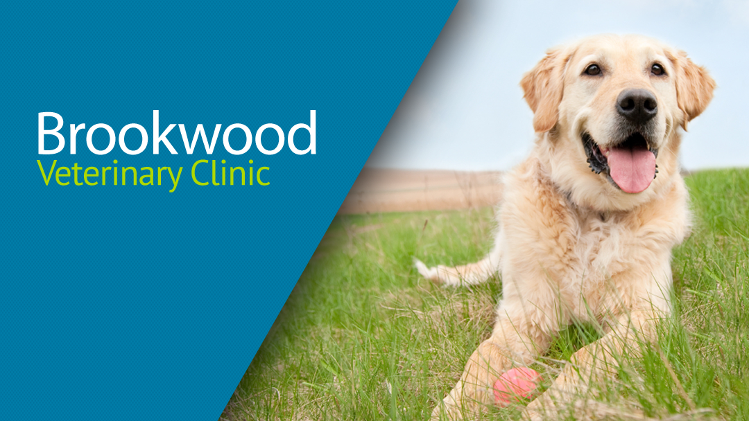 Brookwood Veterinary Clinic - Raleigh , United States