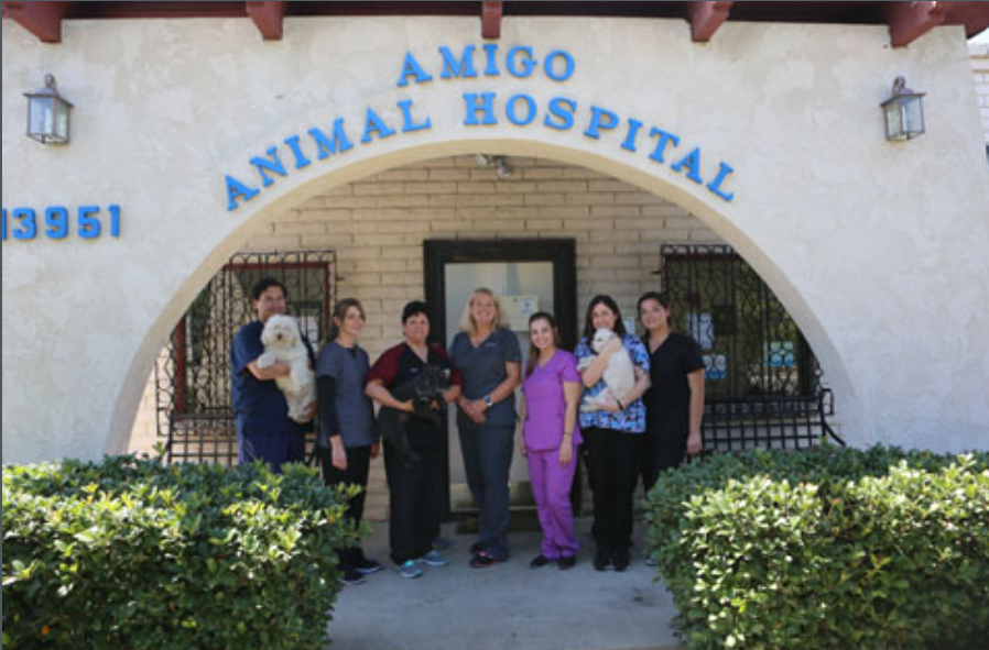 Amigo Animal Hospital - Westminster , United States