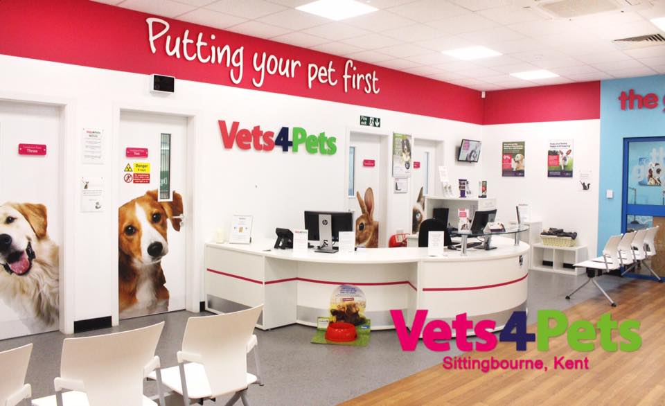 Vets4pets Sittingbourne - Sittingbourne , United Kingdom