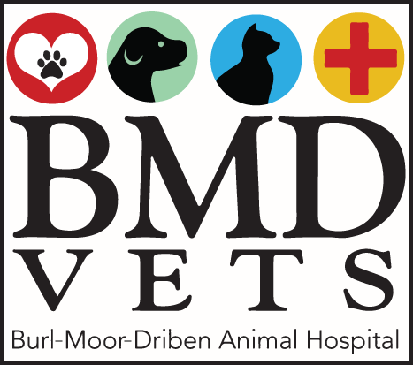 Burl Moor Driben Animal Hospital - Moorestown , United States