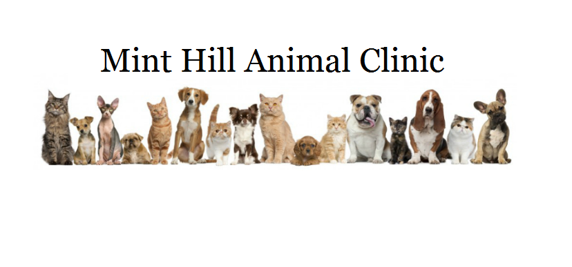 Mint Hill Animal Hospital - Mint Hill , United States