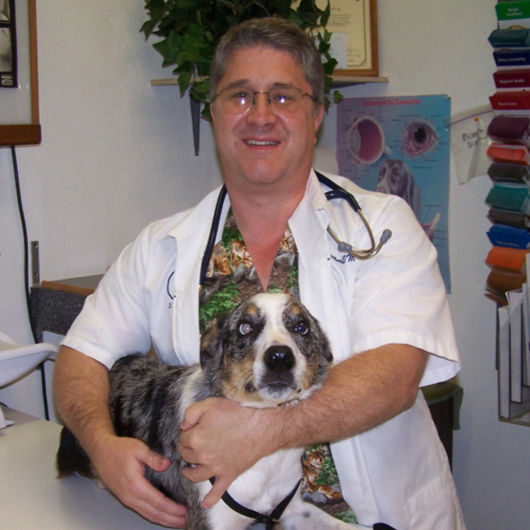 Old Richmond Road Veterinary Hospital - Sugar Land , United States