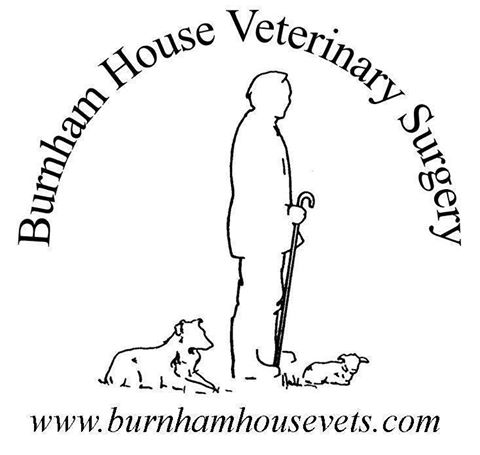 Burnham House Veterinary Surgery - Folkestone , United Kingdom