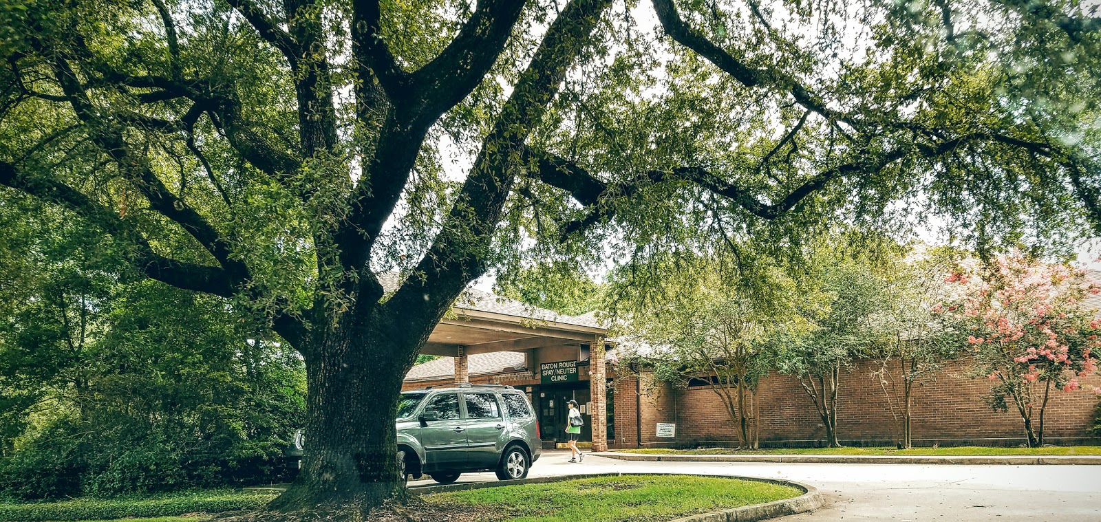 Associated Veterinary Services - Baton Rouge , United States