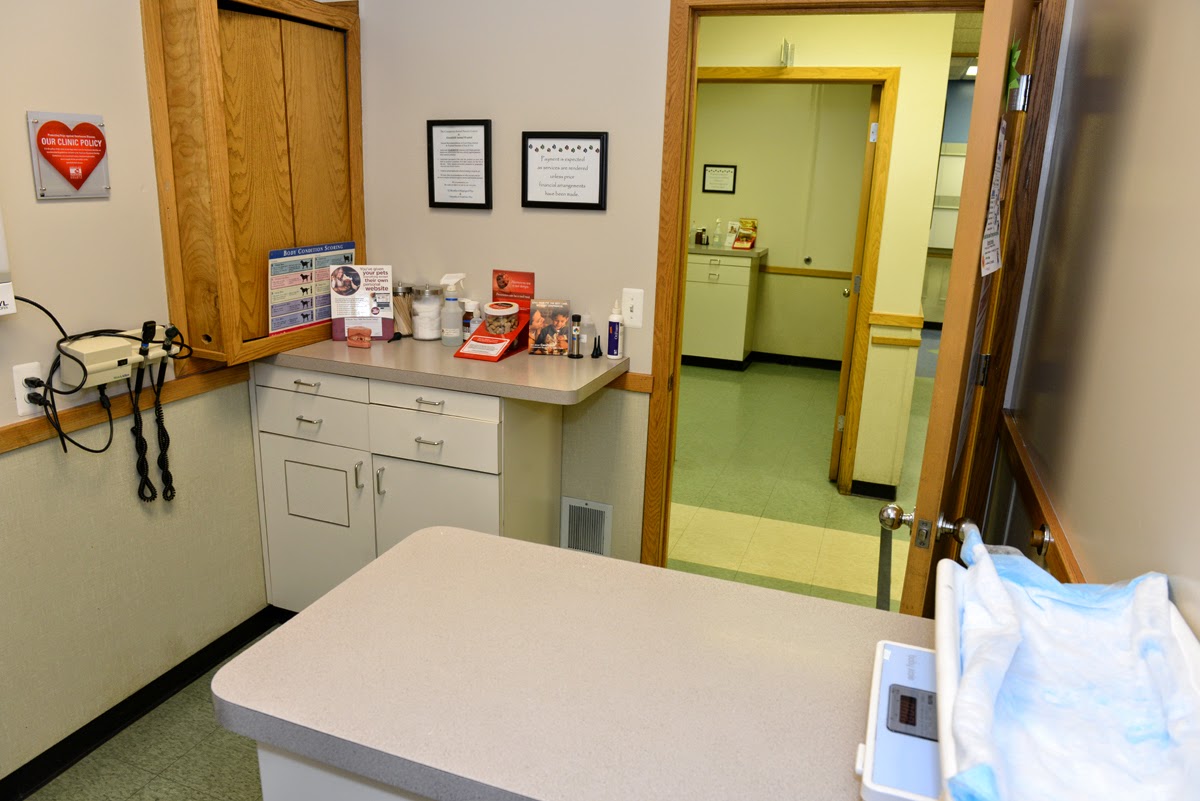 Greenfield Animal Hospital - Southfield , United States