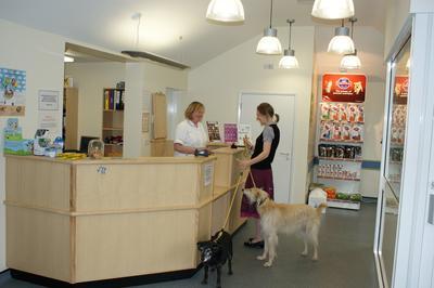 Business's Photo