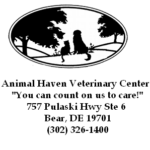 Animal Haven Veterinary Center - Bear , United States