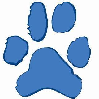 Medivet Northam - Bideford , United Kingdom