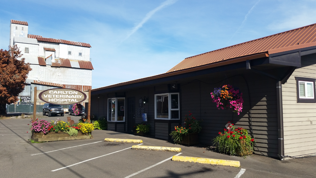 Carlton Veterinary Hospital - Carlton , United States