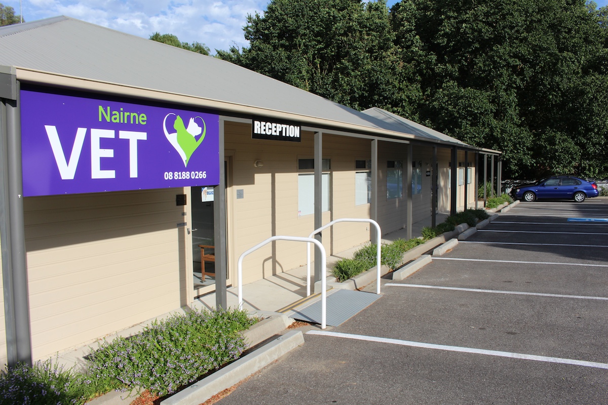 Nairne Vet The Nairne Veterinary Clinic - Nairne , Australia