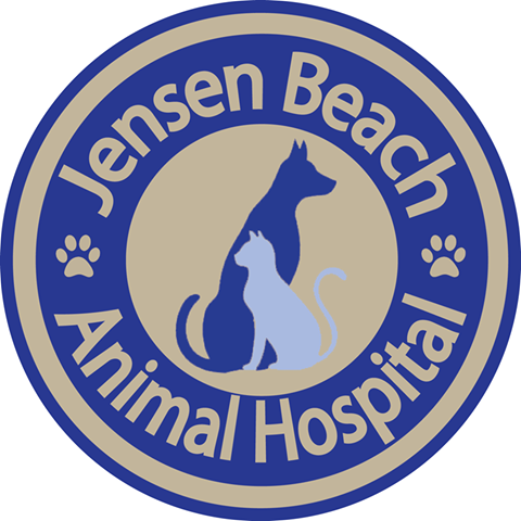 Jensen Beach Animal Hospital - Jensen Beach , United States