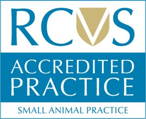 The Veterinary Centre - Glasgow , United Kingdom