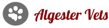 Mustcare Vet Algester - Calamvale , Australia