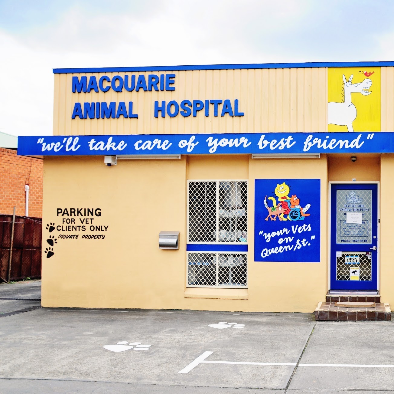 Macquarie Animal Hospital - Campbelltown , Australia