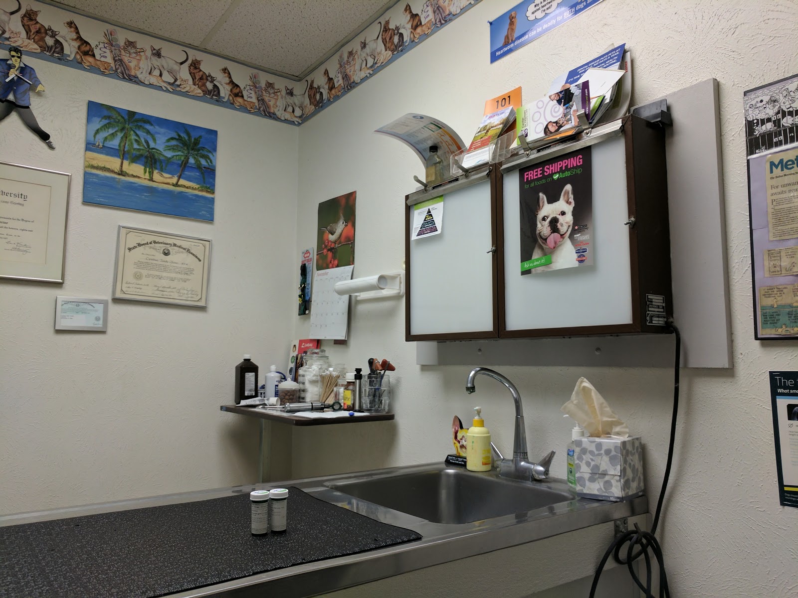 Story Road Animal Hospital - Irving , United States