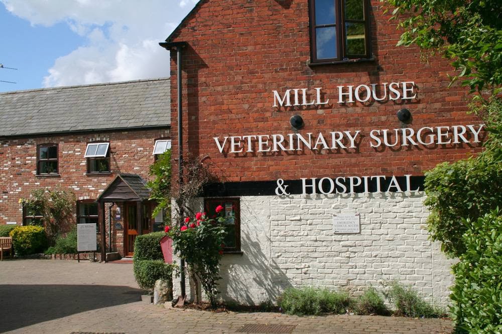 Mill House Veterinary Surgery And Hospital - King's Lynn , United Kingdom