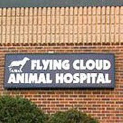 Flying Cloud Animal Hospital - Eden Prairie , United States