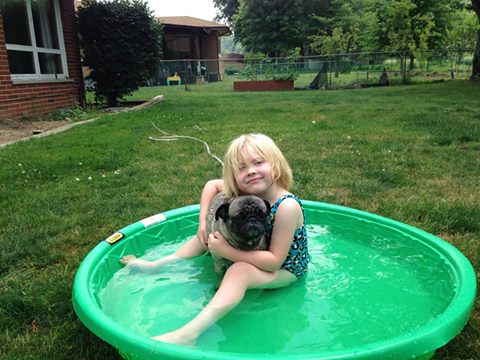 Dr Hart's Emergency Pet Clinic - Cleveland , United States