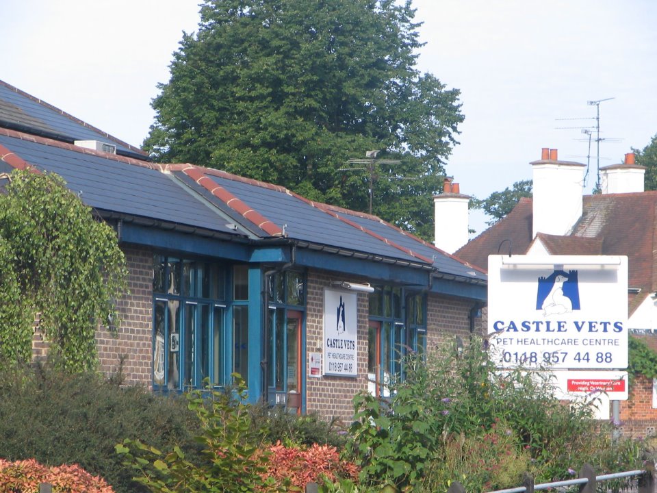 Castle Vets Pet Healthcare Centre - Reading , United Kingdom