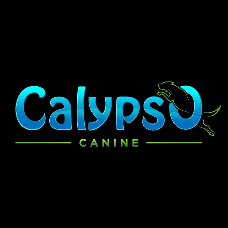 Calypso Canine - Loxahatchee , United States