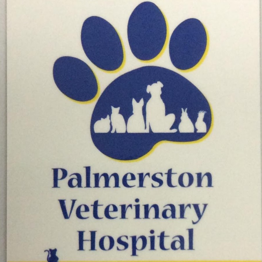 Palmerston Veterinary Hospital - Palmerston City , Australia