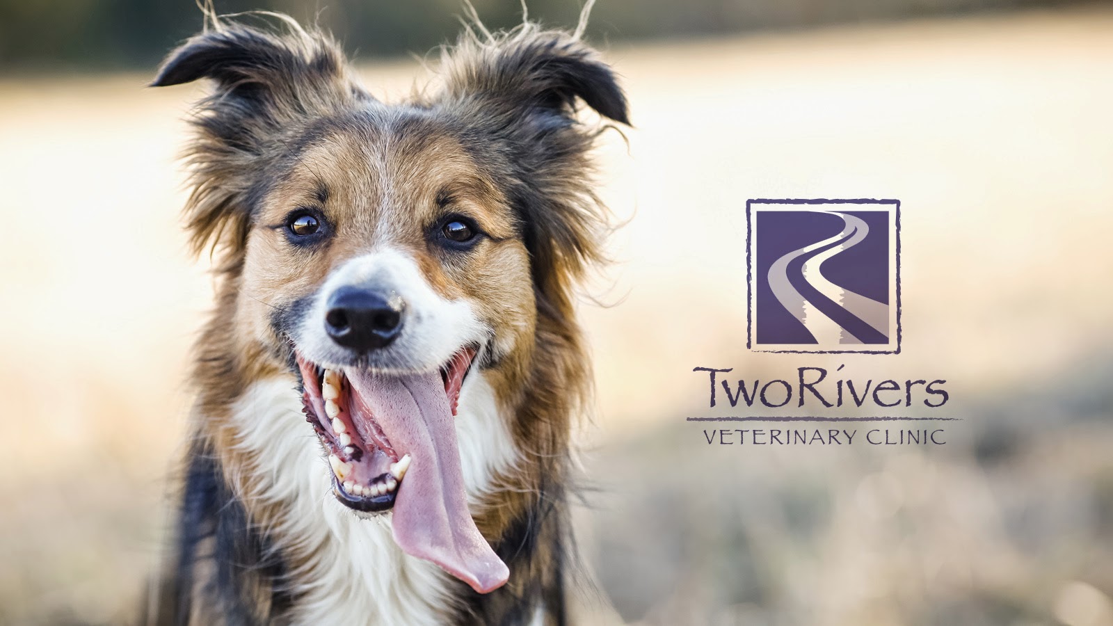 Two Rivers Veterinary Clinic - Portland , United States