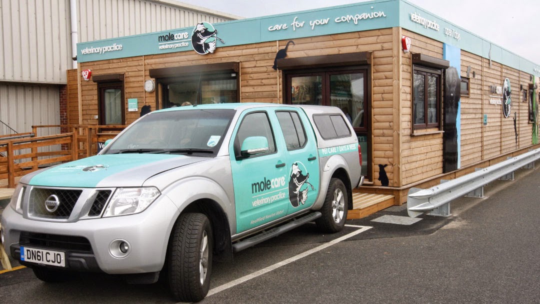Whiskers Veterinary Practice - Newton Abbot , United Kingdom