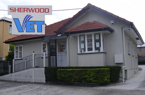 Sherwood Veterinary Practice - Sherwood , Australia