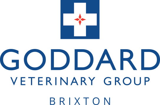 Goddard Veterinary Group Brixton - London , United Kingdom