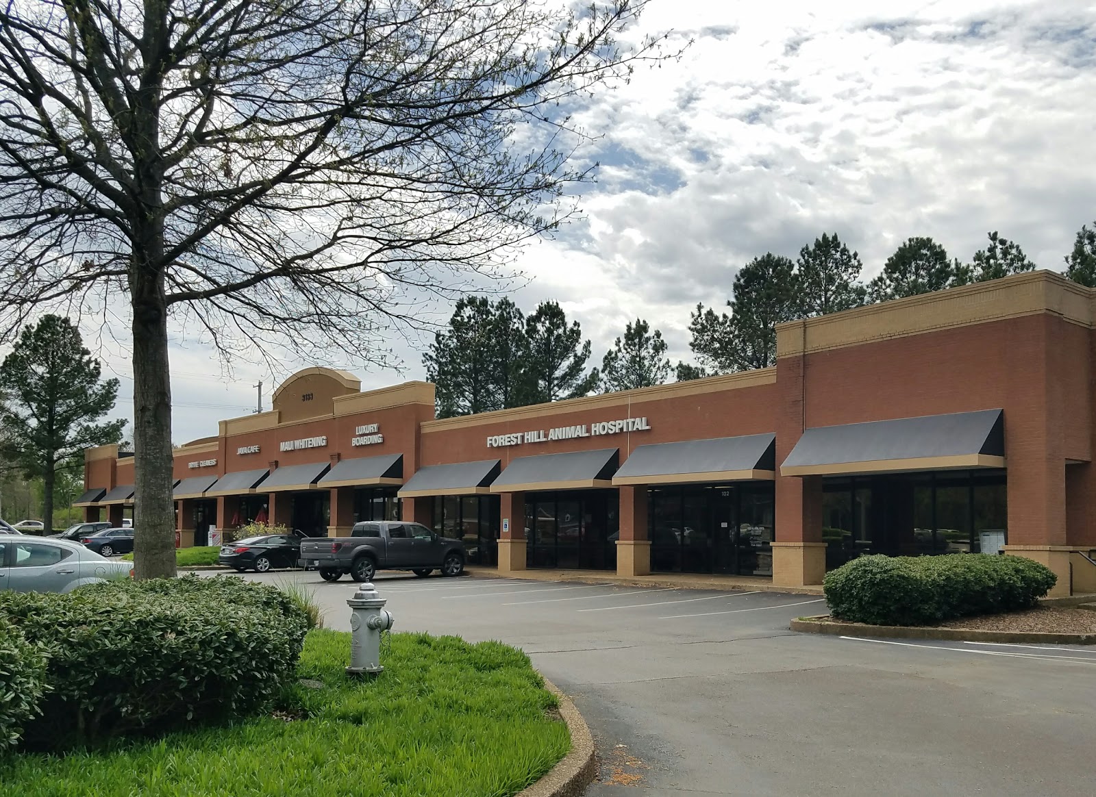 Forest Hill Animal Hospital - Germantown , United States