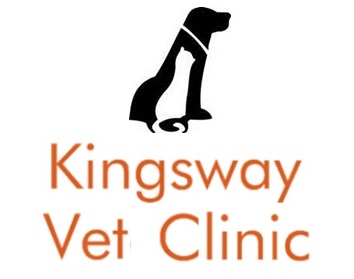 Kingsway Veterinary Clinic - Gloucester , United Kingdom
