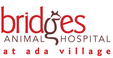 Bridges Animal Hospital At Ada Village - Ada , United States