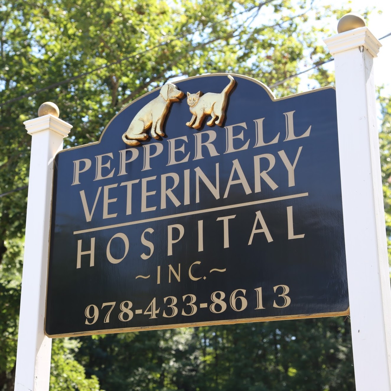 Pepperell Veterinary Hospital - Pepperell , United States