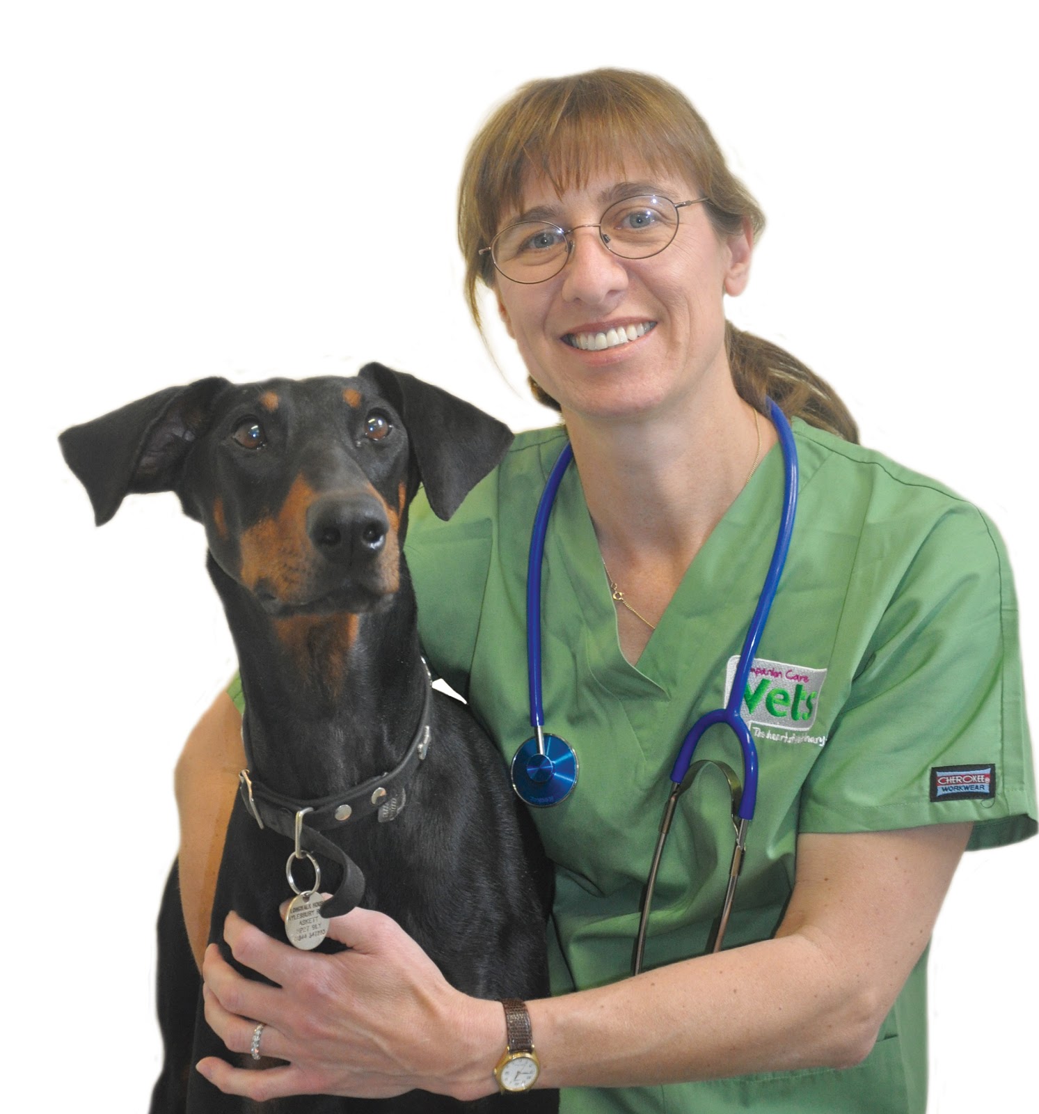 Vets4Pets Wycombe Marsh - High Wycombe , United Kingdom