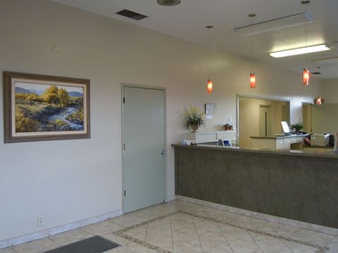 Truckee Meadows Veterinary Hospital - Reno , United States