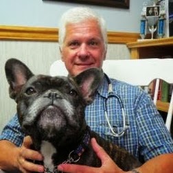 Wyomissing Animal Hospital - Wyomissing , United States
