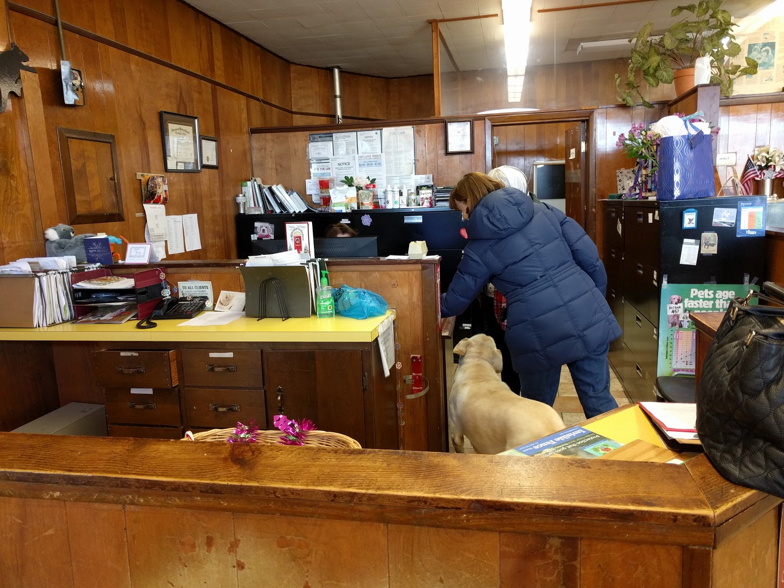 Heights Animal Hospital - Cleveland Heights , United States