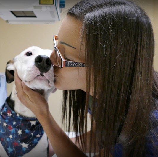 Cabarrus Animal Hospital - Kannapolis , United States