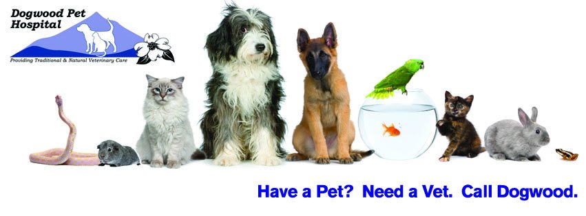 Dogwood Pet Hospital - Gresham , United States