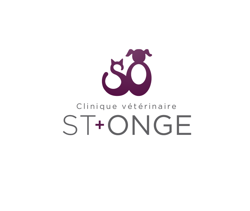 Veterinary Clinic St Onge - Drummondville , Canada