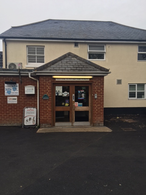 Pet Doctors Woking - Woking , United Kingdom