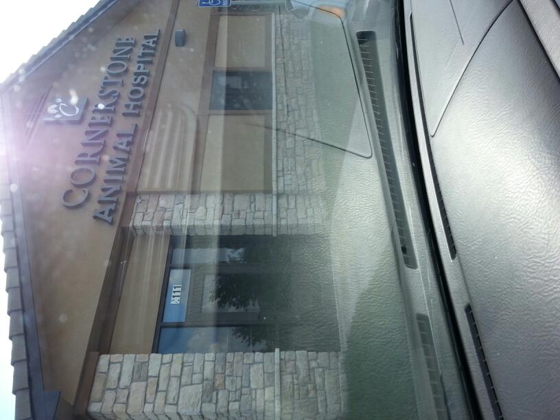 Cornerstone Animal Hospital - Wichita , United States