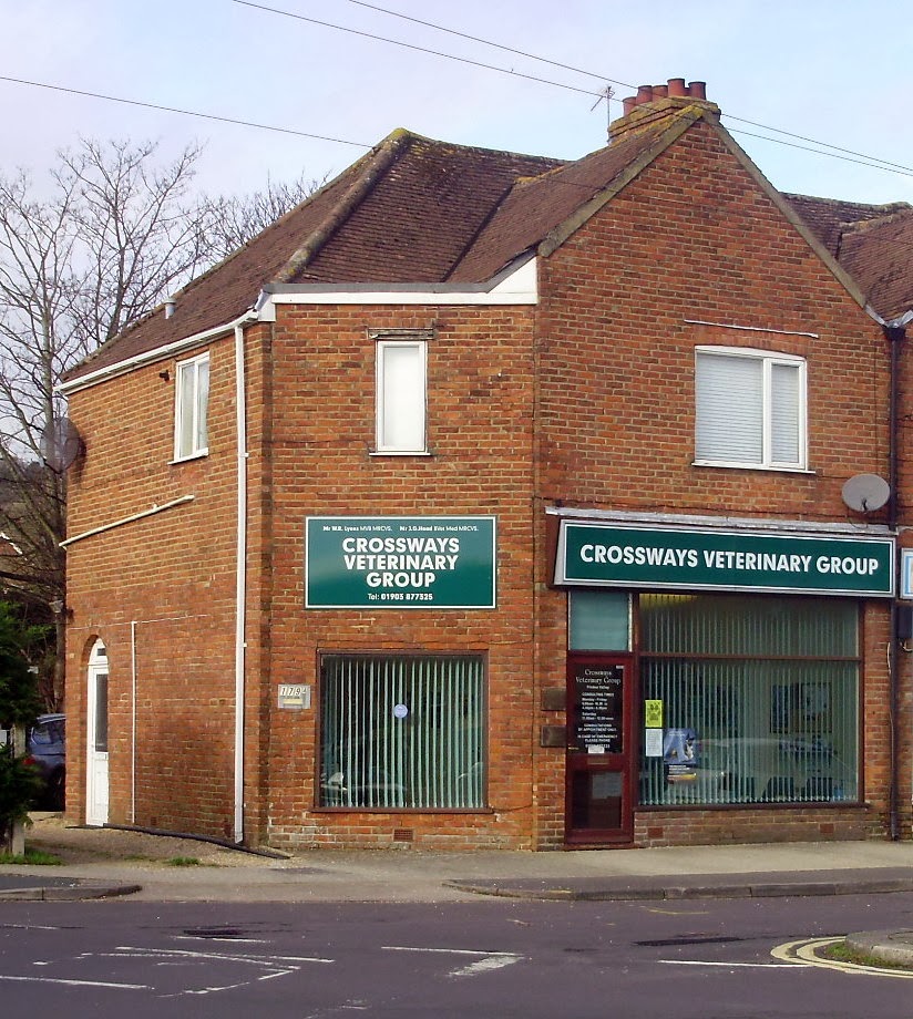 Crossways Veterinary Group - Worthing , United Kingdom