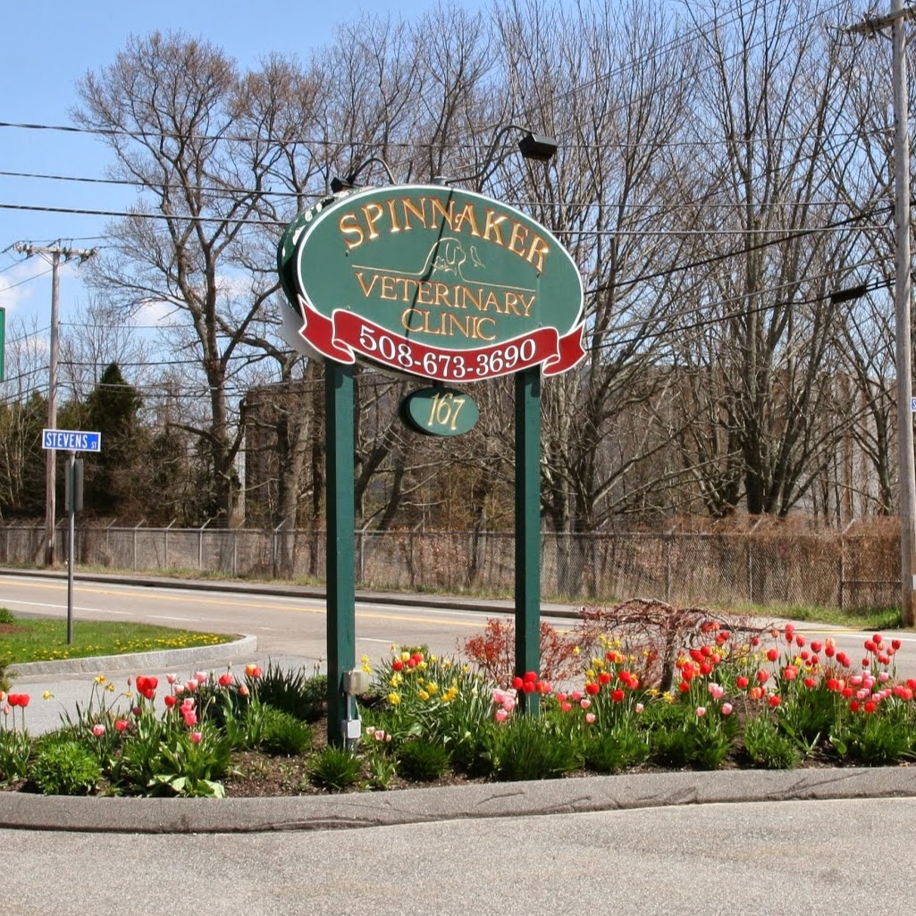 Spinnaker Veterinary Clinic - Somerset , United States