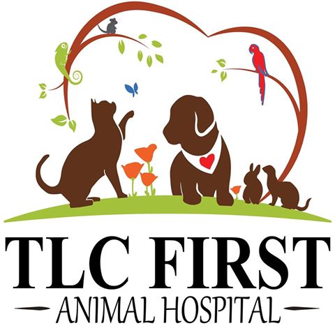 Tlc First Animal Hospital - Chicago , United States