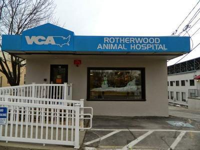 Rotherwood cheap animal hospital