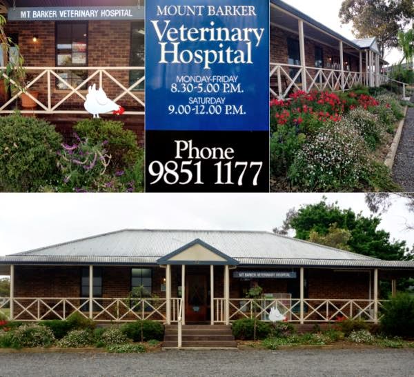 Mount Barker Veterinary Hospital - Mount Barker , Australia