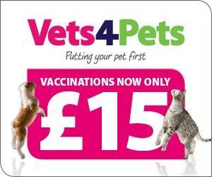 Vets4pets cat best sale vaccination cost