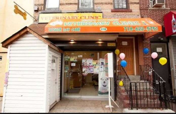 Bedford Stuyvesant Veterinary Clinic - Brooklyn , United States
